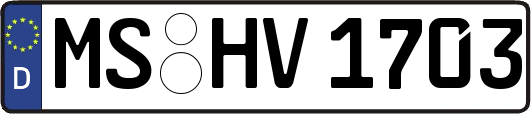 MS-HV1703
