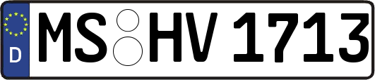 MS-HV1713