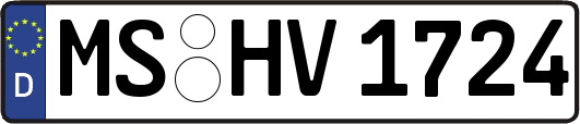 MS-HV1724