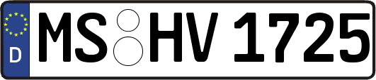 MS-HV1725