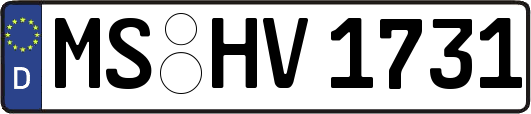 MS-HV1731