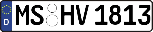 MS-HV1813