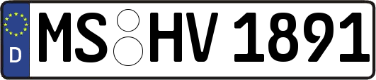 MS-HV1891
