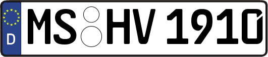 MS-HV1910