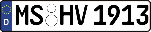 MS-HV1913