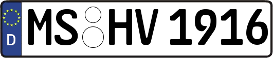 MS-HV1916