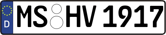 MS-HV1917