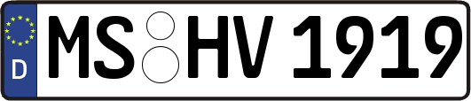 MS-HV1919