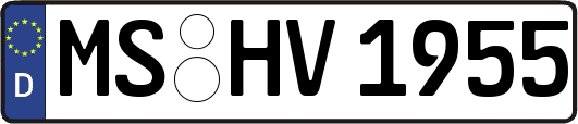 MS-HV1955