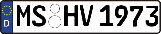 MS-HV1973
