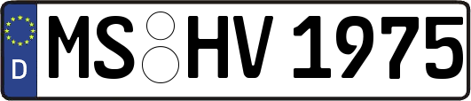 MS-HV1975