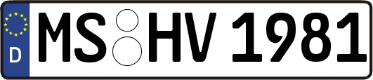 MS-HV1981