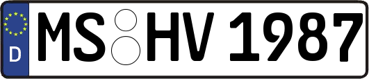 MS-HV1987