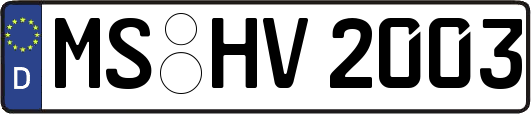 MS-HV2003