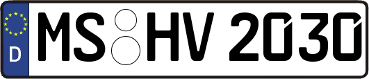 MS-HV2030