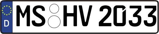 MS-HV2033