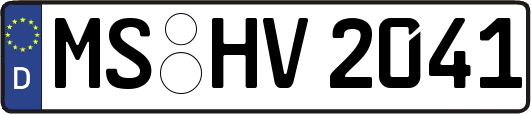 MS-HV2041