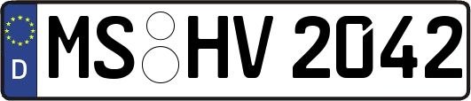 MS-HV2042