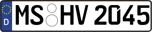 MS-HV2045