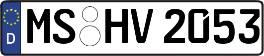MS-HV2053