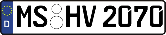 MS-HV2070