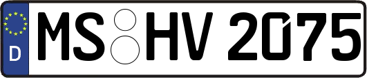 MS-HV2075