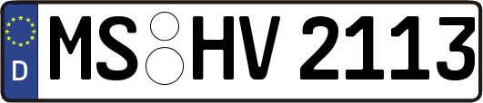 MS-HV2113