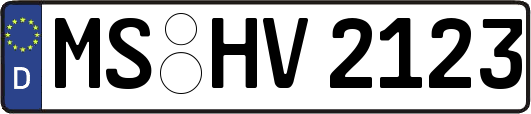MS-HV2123