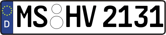 MS-HV2131