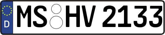 MS-HV2133