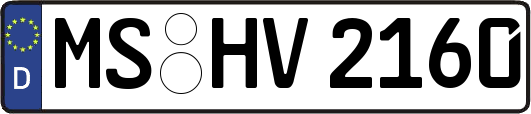 MS-HV2160