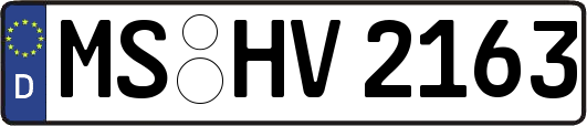 MS-HV2163