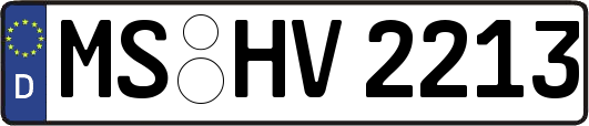 MS-HV2213
