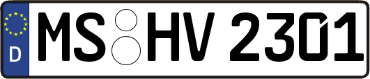 MS-HV2301