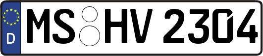 MS-HV2304