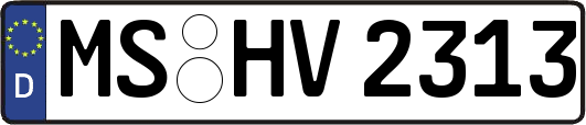 MS-HV2313
