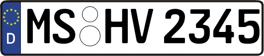 MS-HV2345