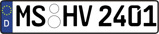 MS-HV2401