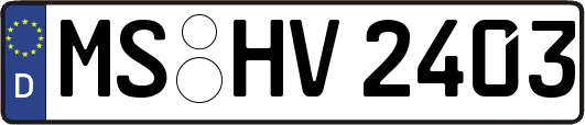 MS-HV2403