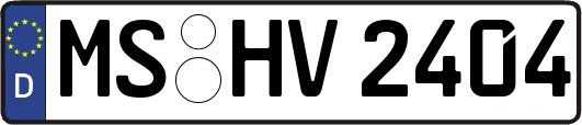 MS-HV2404