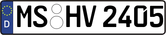 MS-HV2405