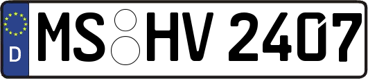 MS-HV2407