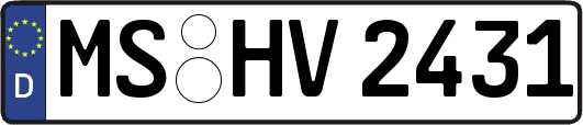 MS-HV2431