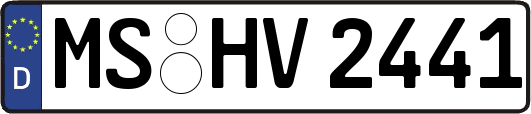MS-HV2441