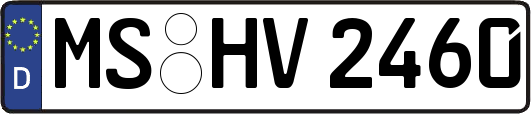 MS-HV2460