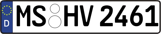 MS-HV2461
