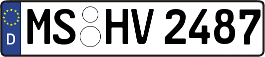 MS-HV2487