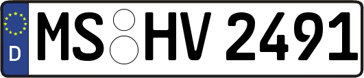 MS-HV2491