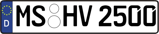 MS-HV2500