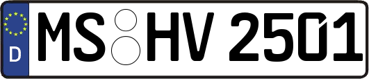 MS-HV2501